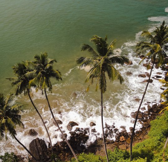 Туры в Кандаламу 2025 - цены на путевки в Шри-Ланку из Москвы от туроператора Coral Travel