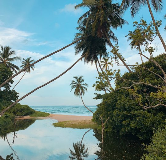 Туры в Кандаламу 2025 - цены на путевки в Шри-Ланку из Москвы от туроператора Coral Travel