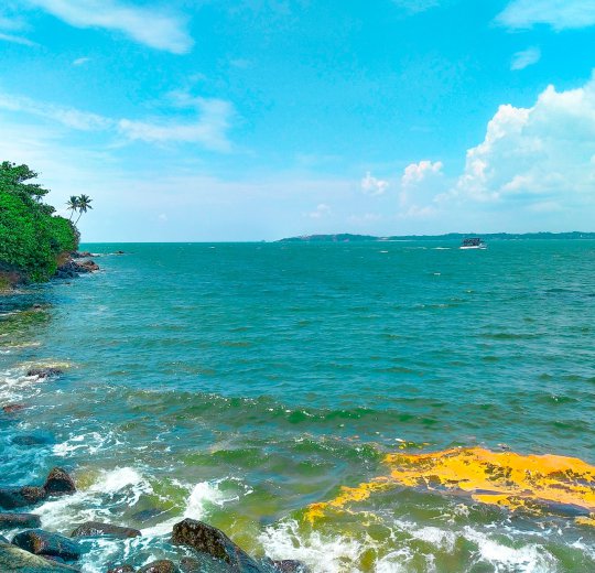 Туры в Канди 2025 - цены на путевки в Шри-Ланку из Москвы от туроператора Coral Travel