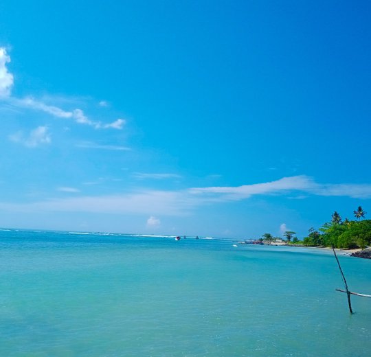 Туры в Канди 2025 - цены на путевки в Шри-Ланку из Москвы от туроператора Coral Travel