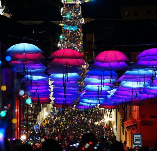 Туры в Кито 2025 - цены на путевки в Эквадор из Москвы от туроператора Coral Travel