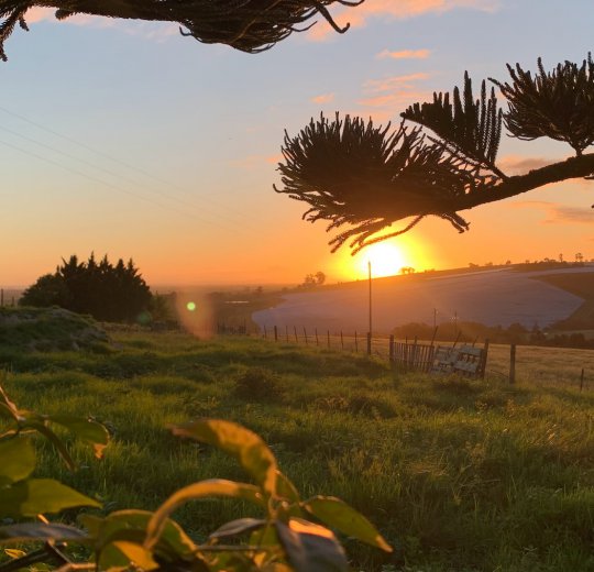 Туры в Джордж 2025 - цены на путевки в ЮАР из Москвы от туроператора Coral Travel