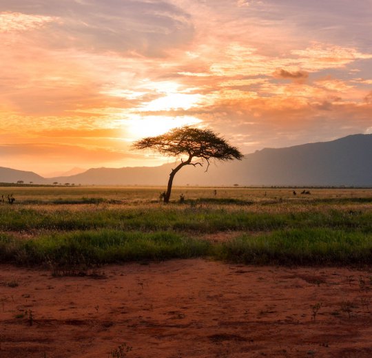 Туры в Джордж 2025 - цены на путевки в ЮАР из Москвы от туроператора Coral Travel