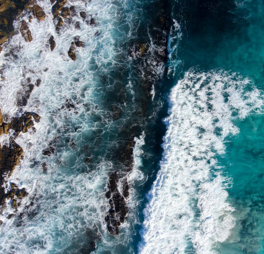 Туры в Йоханнесбург 2025 - цены на путевки в ЮАР из Москвы от туроператора Coral Travel