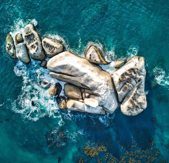 Туры в Кейптаун 2025 - цены на путевки в ЮАР из Москвы от туроператора Coral Travel