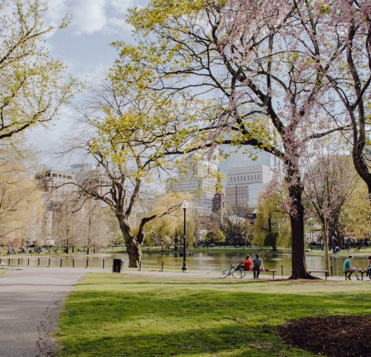 Туры в Парк Крюгера и Мпумалангу 2025 - цены на путевки в ЮАР из Москвы от туроператора Coral Travel