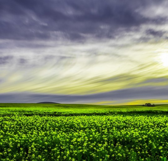 Туры в Сан Сити 2025 - цены на путевки в ЮАР из Москвы от туроператора Coral Travel