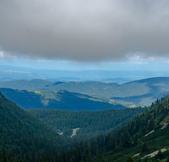 Туры в Елените 2025 - цены на путевки в Болгарию из Москвы от туроператора Coral Travel