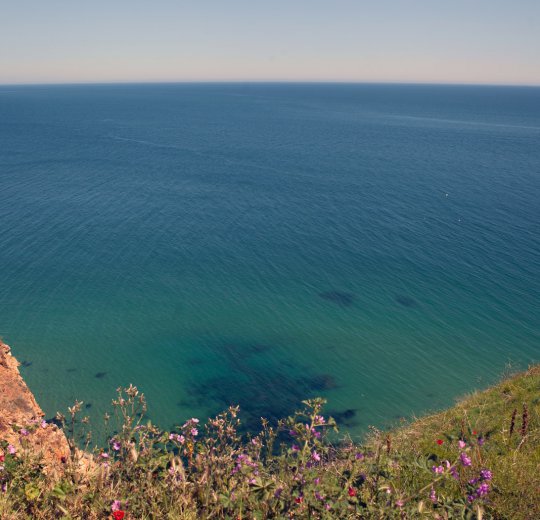 Туры в Пампорово 2025 - цены на путевки в Болгарию из Москвы от туроператора Coral Travel