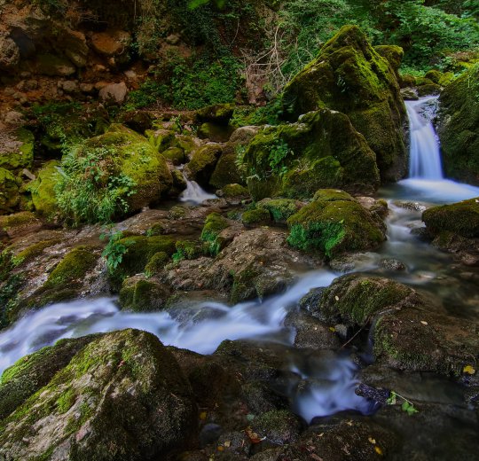 Туры в Пампорово 2025 - цены на путевки в Болгарию из Москвы от туроператора Coral Travel