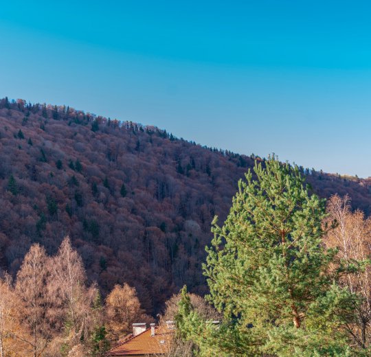 Туры в Приморско 2025 - цены на путевки в Болгарию из Москвы от туроператора Coral Travel