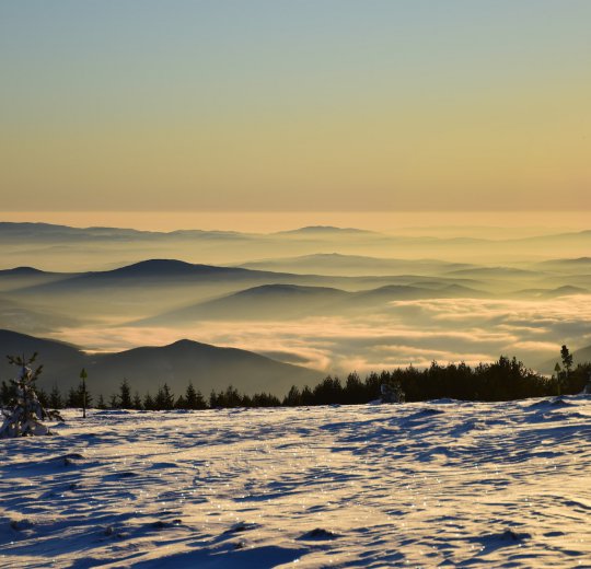 Туры на Золотые Пески 2025 - цены на путевки в Болгарию из Москвы от туроператора Coral Travel