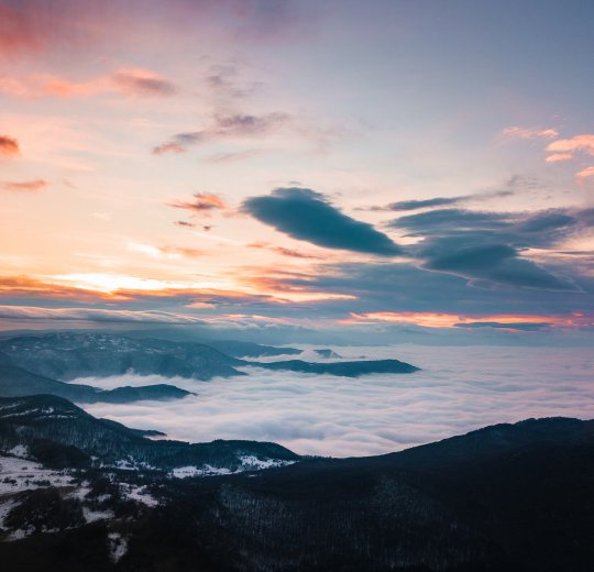 Туры на Золотые Пески 2025 - цены на путевки в Болгарию из Москвы от туроператора Coral Travel