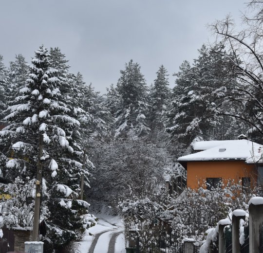 Туры в Кранево 2025 - цены на путевки в Болгарию из Москвы от туроператора Coral Travel