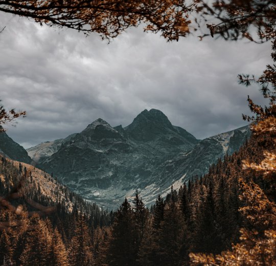 Туры в Кранево 2025 - цены на путевки в Болгарию из Москвы от туроператора Coral Travel