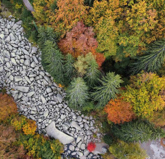 Туры на Солнечный Берег 2025 - цены на путевки в Болгарию из Москвы от туроператора Coral Travel