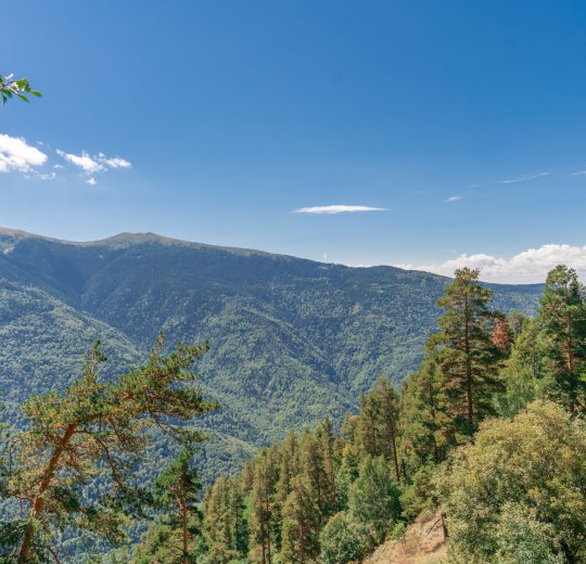 Туры на Солнечный Берег 2025 - цены на путевки в Болгарию из Москвы от туроператора Coral Travel