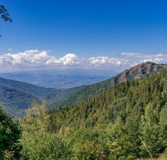 Туры на Солнечный Берег 2025 - цены на путевки в Болгарию из Москвы от туроператора Coral Travel