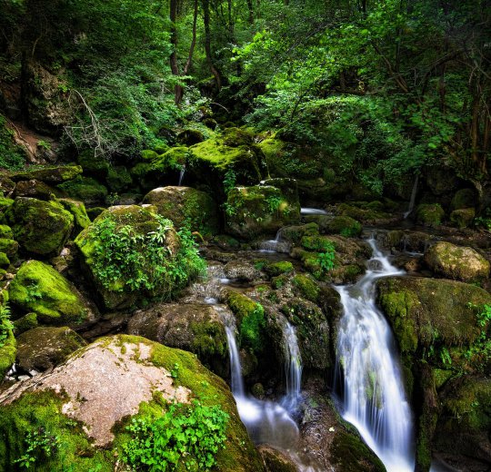 Туры в Царево 2025 - цены на путевки в Болгарию из Москвы от туроператора Coral Travel