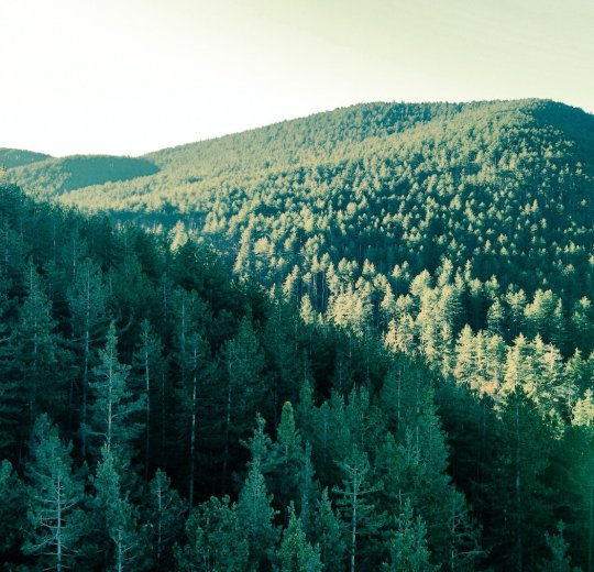 Туры в Шкорпиловци 2025 - цены на путевки в Болгарию из Москвы от туроператора Coral Travel