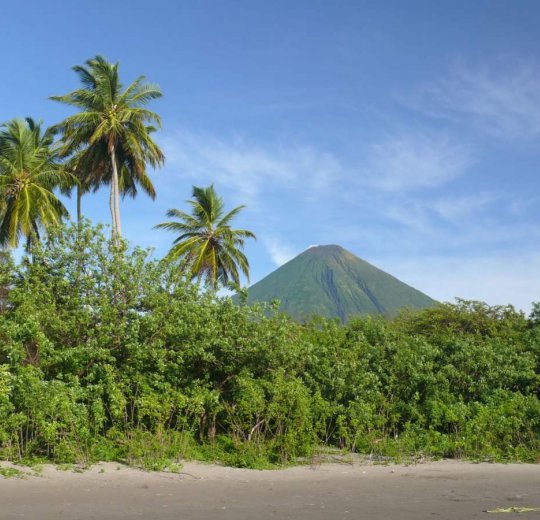 Туры  2025 из Москвы - цена на отдых от туроператора Coral Travel