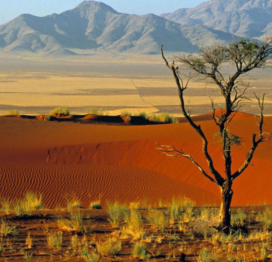 Туры  2025 из Москвы - цена на отдых от туроператора Coral Travel