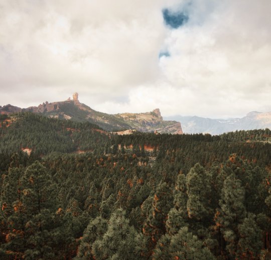 Туры на Канарские о-ва Гран Канария 2025 - цены на путевки в Испанию из Москвы от туроператора Coral Travel