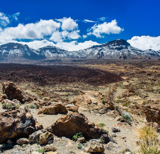 Туры на Канарские о-ва Тенерифе 2025 - цены на путевки в Испанию из Москвы от туроператора Coral Travel