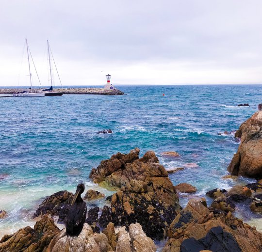 Туры в Коста дель Соль 2025 - цены на путевки в Испанию из Москвы от туроператора Coral Travel