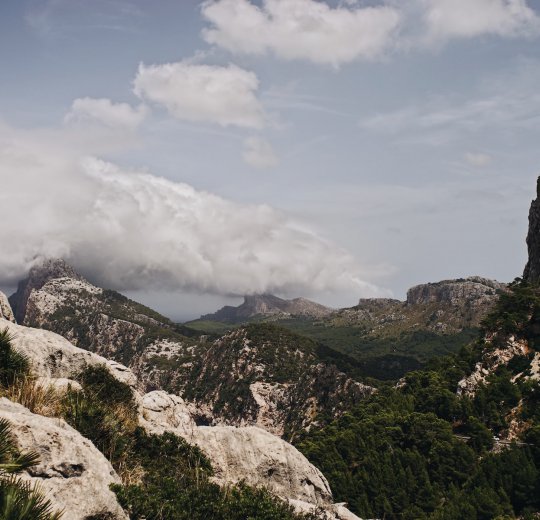 Туры на Майорку 2025 - цены на путевки в Испанию из Москвы от туроператора Coral Travel