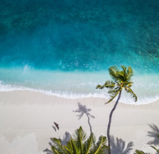 Туры в Коста Тропикал 2025 - цены на путевки в Испанию из Москвы от туроператора Coral Travel