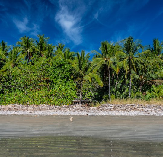 Туры в Коста Тропикал 2025 - цены на путевки в Испанию из Москвы от туроператора Coral Travel