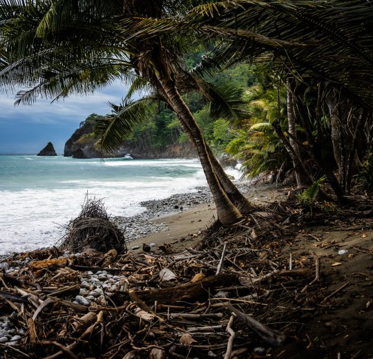 Туры в Коста Тропикал 2025 - цены на путевки в Испанию из Москвы от туроператора Coral Travel