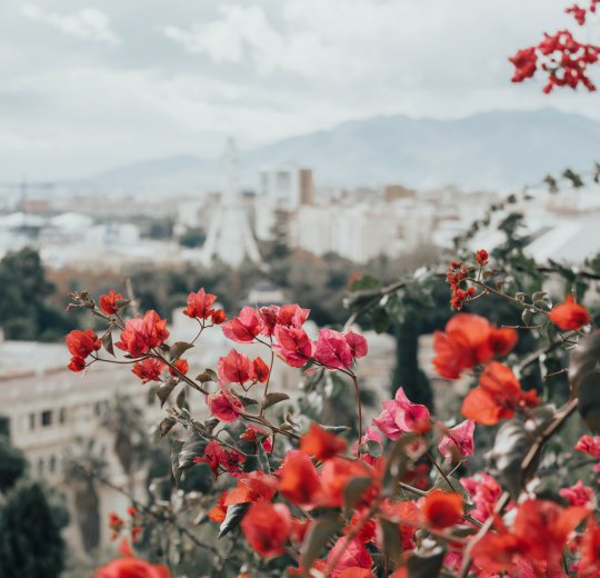 Туры в Малагу 2025 - цены на путевки в Испанию из Москвы от туроператора Coral Travel