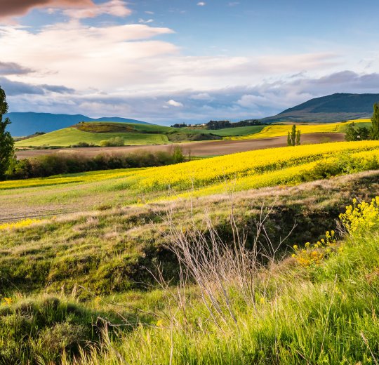 Туры в Наварру 2025 - цены на путевки в Испанию из Москвы от туроператора Coral Travel