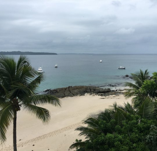 Туры в Коста Дораду 2025 - цены на путевки в Испанию из Москвы от туроператора Coral Travel