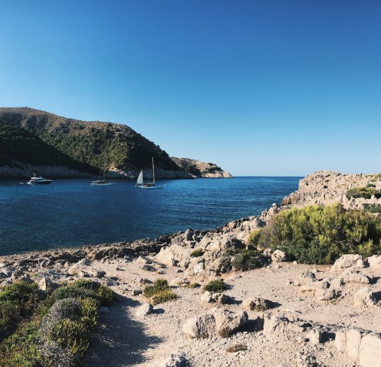 Туры на Канарские о-ва Ла Пальма 2025 - цены на путевки в Испанию из Москвы от туроператора Coral Travel