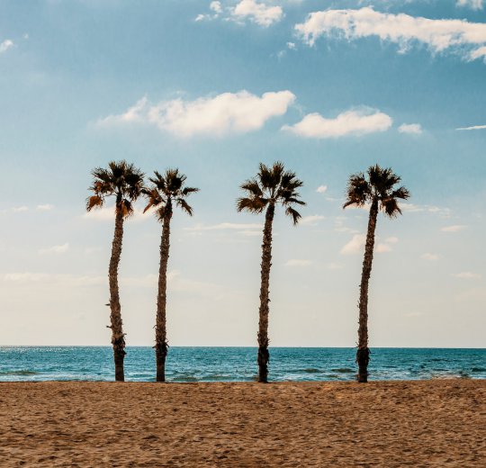 Туры на Канарские о-ва Ла Пальма 2025 - цены на путевки в Испанию из Москвы от туроператора Coral Travel