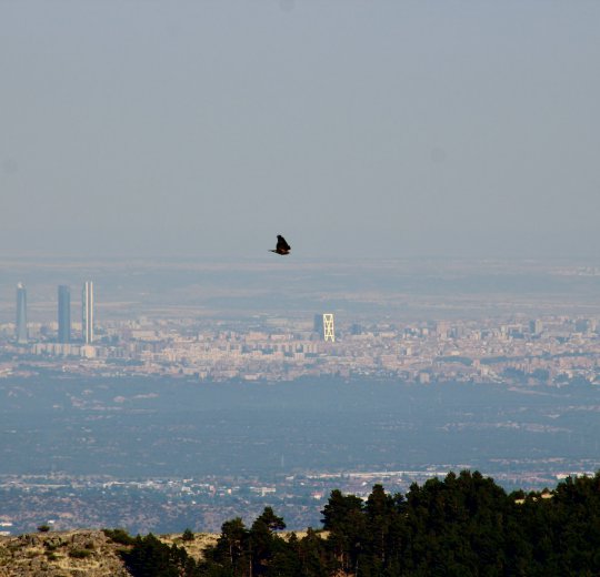 Туры в Уэльву 2025 - цены на путевки в Испанию из Москвы от туроператора Coral Travel