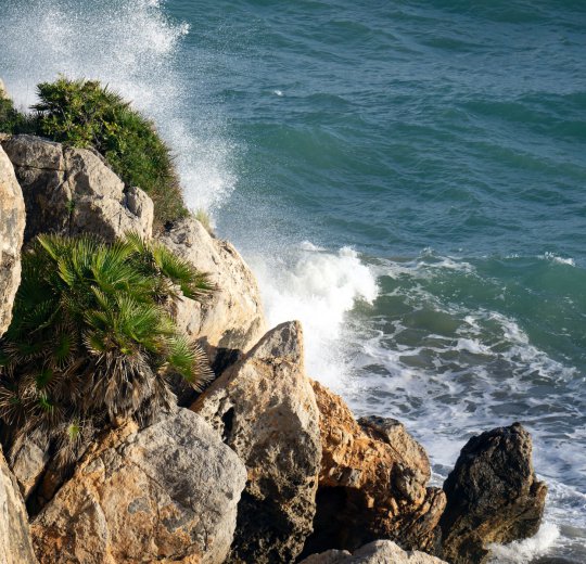 Туры в Лас Пальмас 2025 - цены на путевки в Испанию из Москвы от туроператора Coral Travel