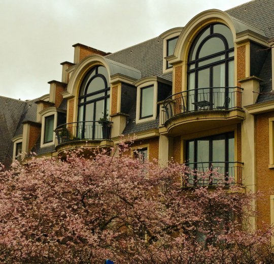 Туры в Бельгию 2025 из Москвы - цена на отдых от туроператора Coral Travel