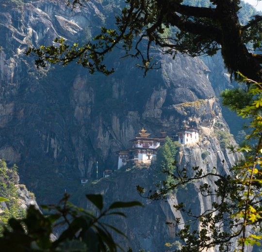 Туры в Бутан 2025 из Москвы - цена на отдых от туроператора Coral Travel