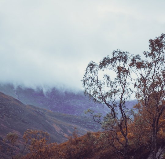 Туры в Великобританию 2025 из Москвы - цена на отдых от туроператора Coral Travel