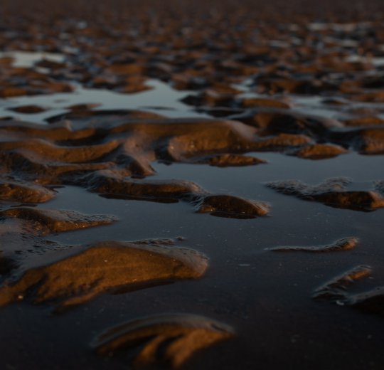 Туры в Великобританию 2025 из Москвы - цена на отдых от туроператора Coral Travel