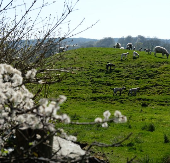 Туры в Великобританию 2025 из Москвы - цена на отдых от туроператора Coral Travel