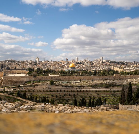 Туры в Израиль 2025 из Москвы - цена на отдых от туроператора Coral Travel