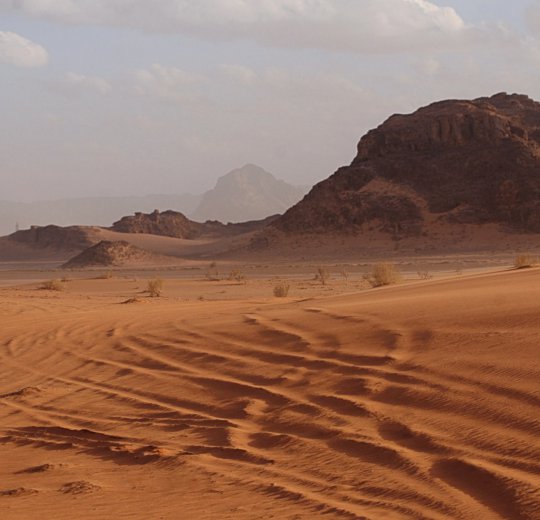 Туры в Иорданию 2025 из Москвы - цена на отдых от туроператора Coral Travel