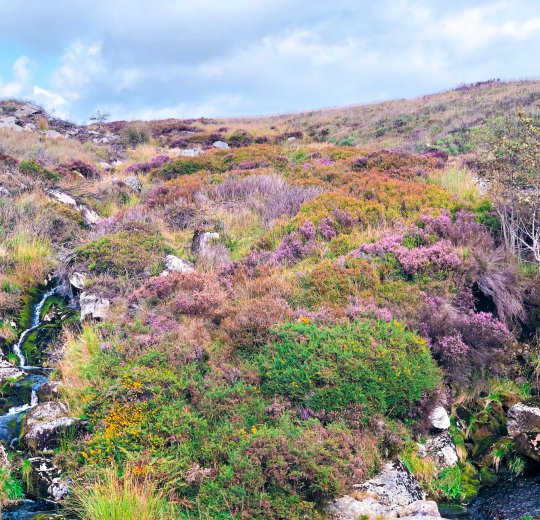 Туры  2025 из Москвы - цена на отдых от туроператора Coral Travel