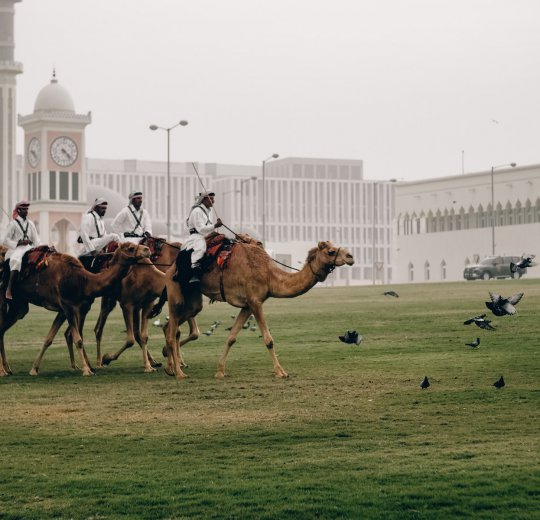 Туры 2025 из Москвы - цена на отдых от туроператора Coral Travel