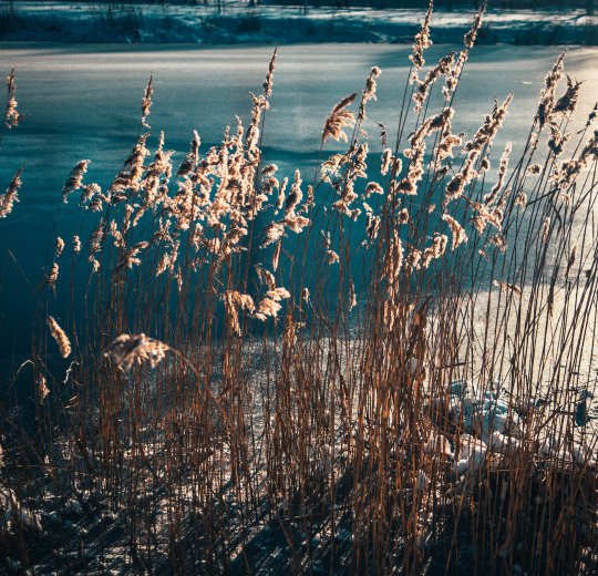 Туры в Латвию 2025 из Москвы - цена на отдых от туроператора Coral Travel